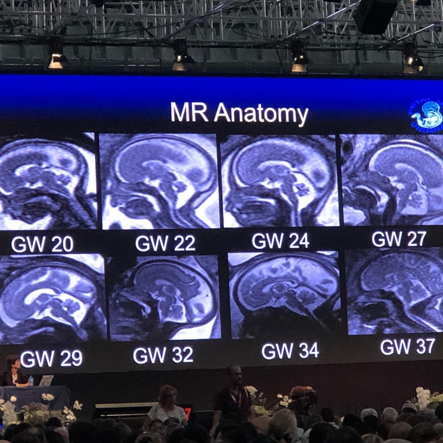 Congresso Mundial de Medicina Fetal - Clínica Médica Yoshida - 8