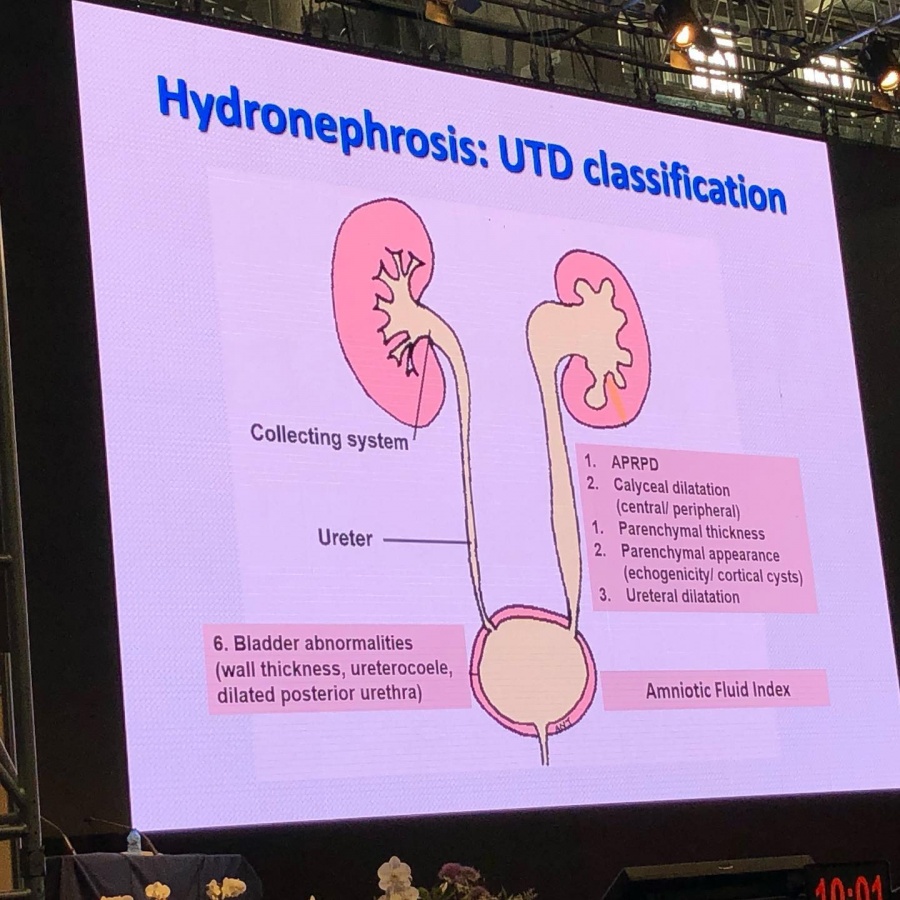 Congresso Mundial de Medicina Fetal - Clínica Médica Yoshida - 3