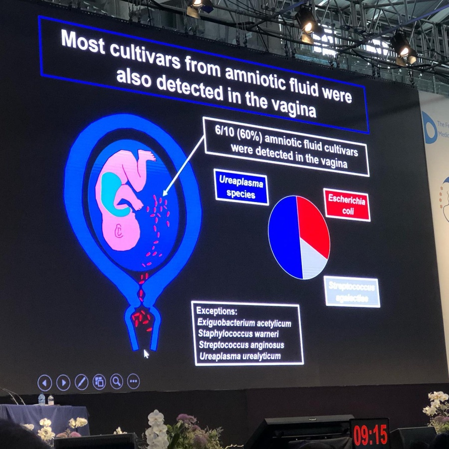 Congresso Mundial de Medicina Fetal - Clínica Médica Yoshida - 10